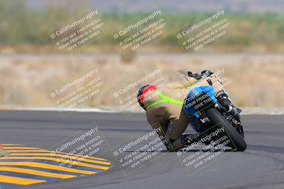 media/Oct-09-2022-SoCal Trackdays (Sun) [[95640aeeb6]]/Turn 14 Backside (1125am)/